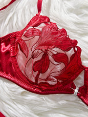 Unique Design Fashionable Comfortable Lace and Mesh Red Womens Lingerie Set