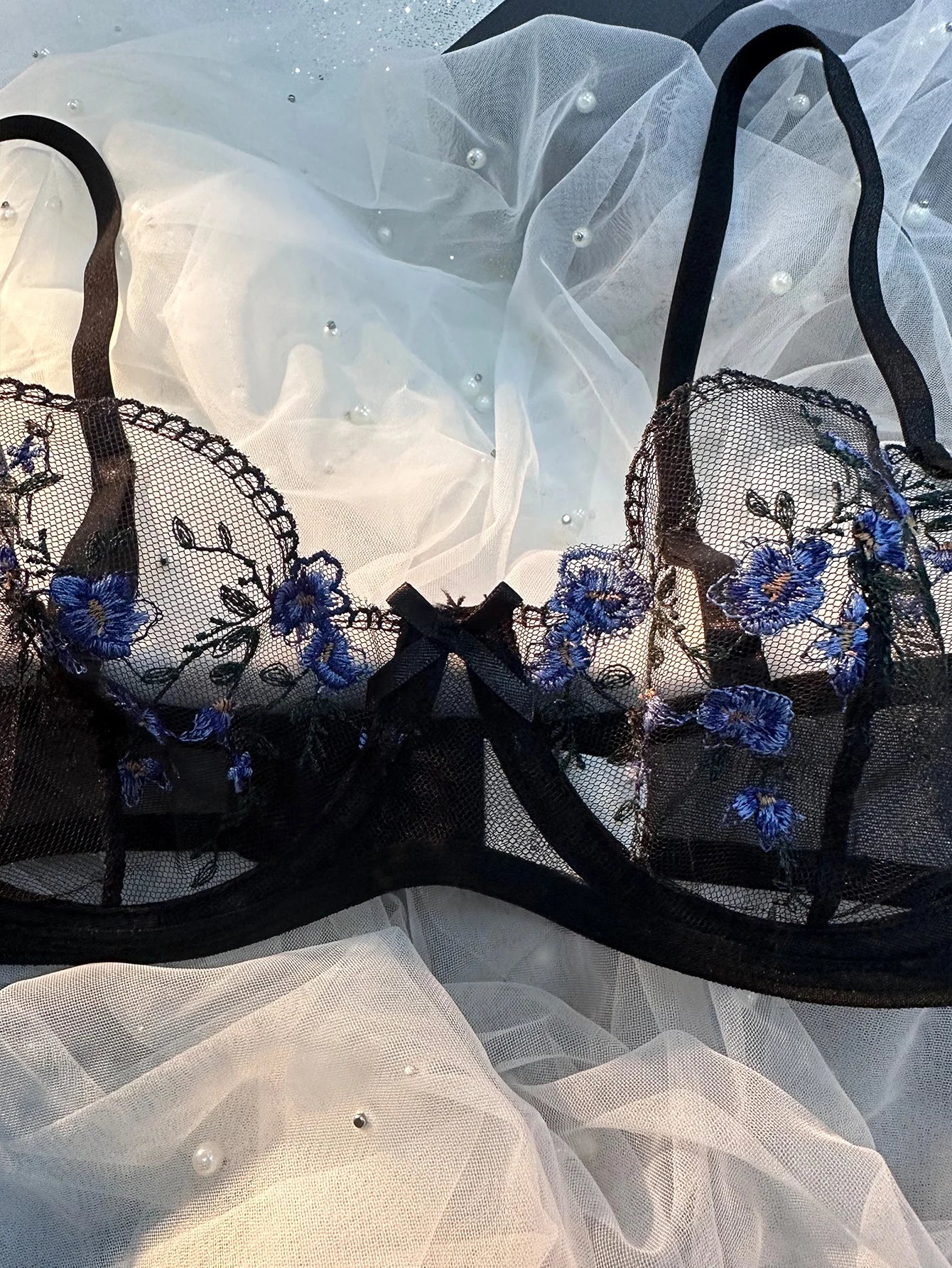 Two Piece Transparent Sexy Comfortable Blue Floral Embroidery Transparent Lingerie Panties and Bra