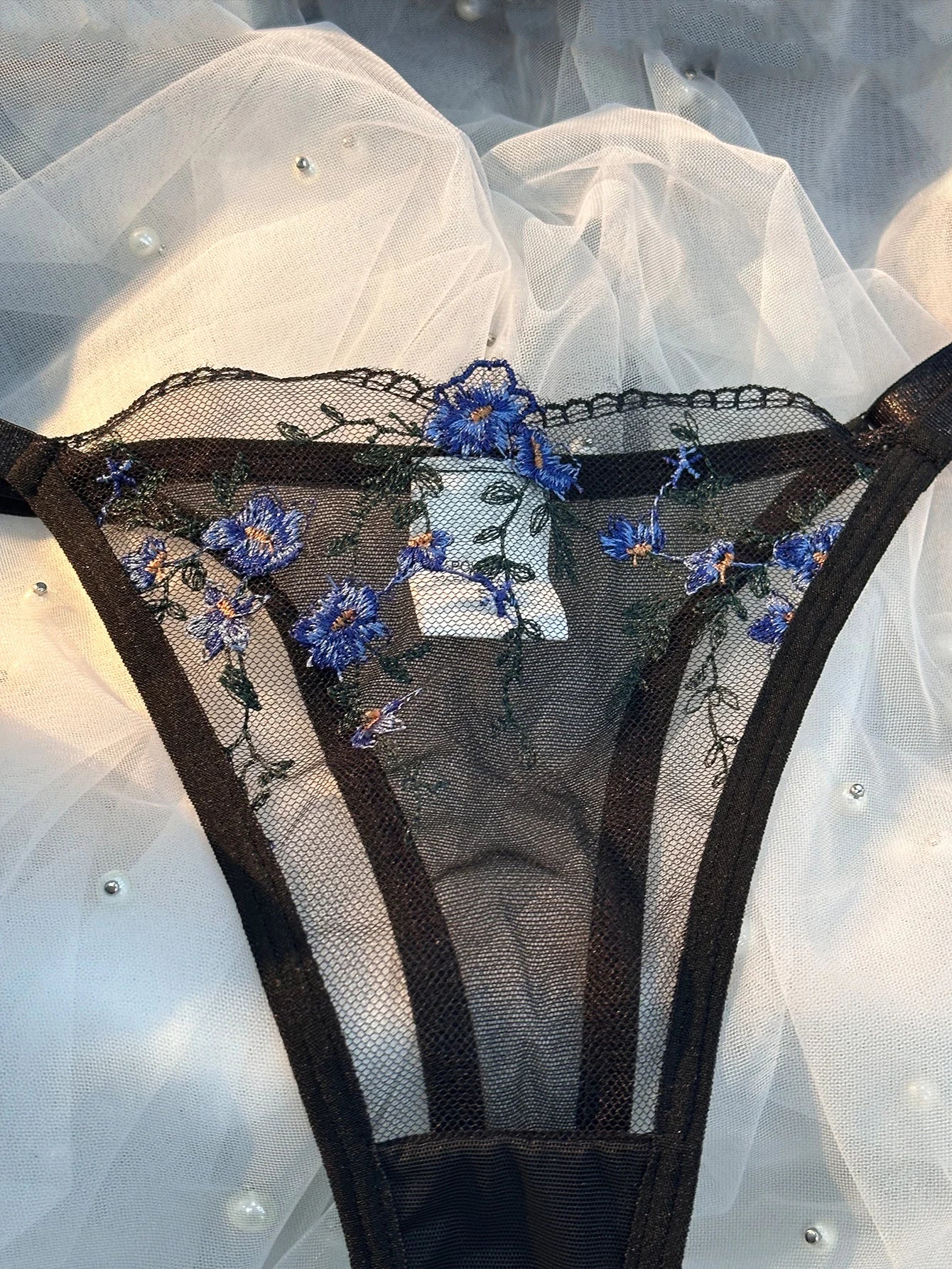 Two Piece Transparent Sexy Comfortable Blue Floral Embroidery Transparent Lingerie Panties and Bra
